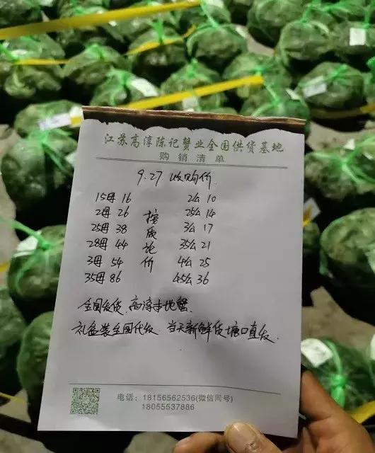 10月2日兴化大闸蟹价格,兴化大闸蟹今日9月18日价格