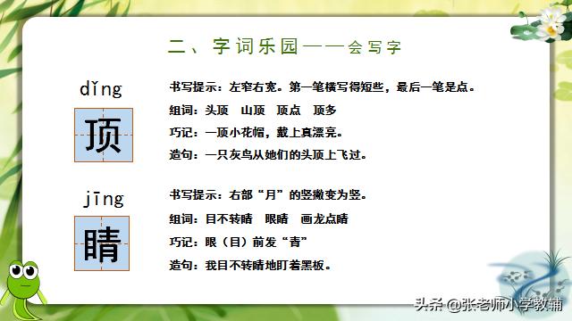 小蝌蚪找妈妈课程分享ppt,小蝌蚪找妈妈ppt教师讲解视频