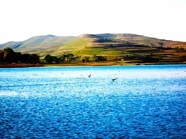 宁夏一个你来了就不想走的地方,宁夏固原最好的地方