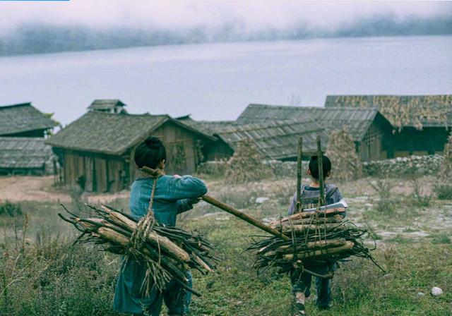 诛仙的票房深度解析,诛仙多少亿票房