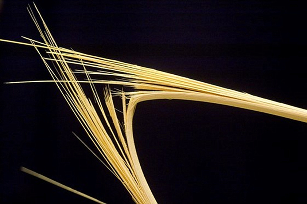 只要速度够快,竹筷子也能射穿坦克钢板?