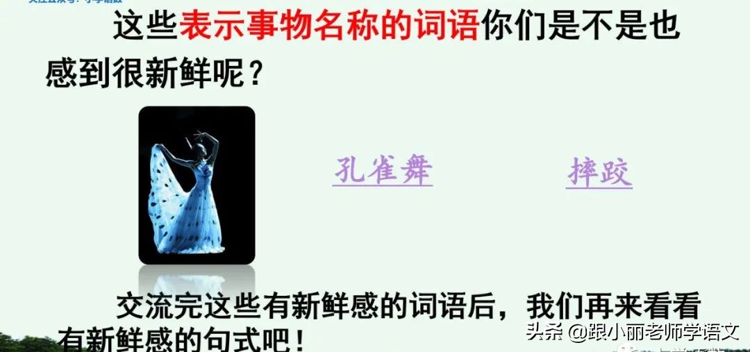 大青树下的小学必会知识点,大青树下的小学必考知识点