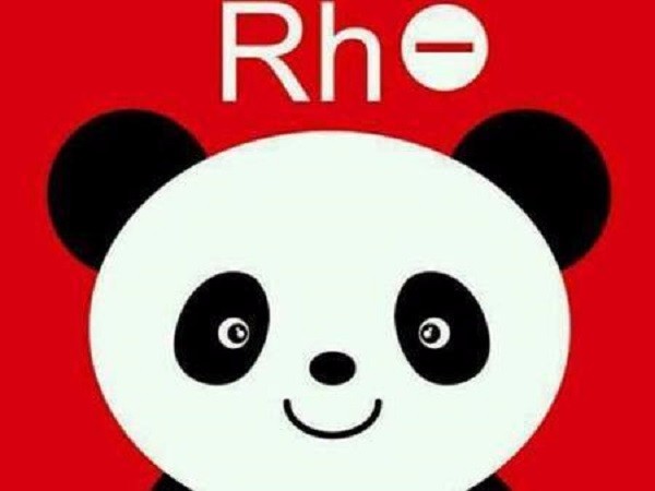 Rh阴性血,熊猫血来龙去脉、献血注意事项、输血原则?