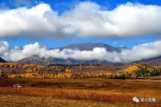 从新疆回老家带什么特产好,来疆旅游必备物品