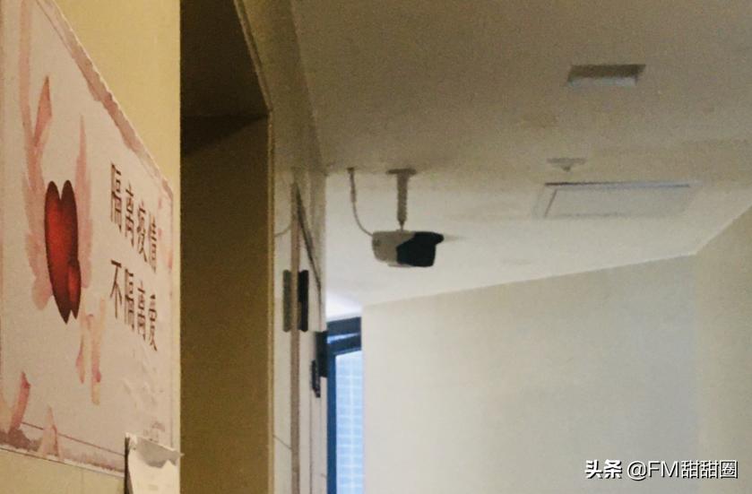 疫情中的回家之路|COVID-19进行时，三个德国家庭的回国经历