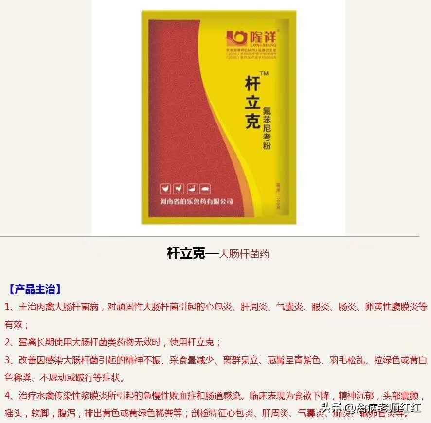 养殖场常见鸡病的治疗手册,家禽养殖知识大全图片视频