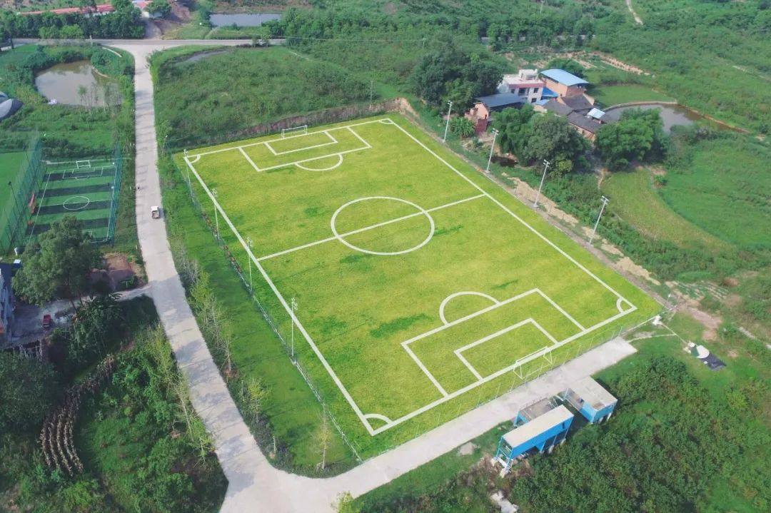 田园风光稻田帐篷,稻田星空露营基地