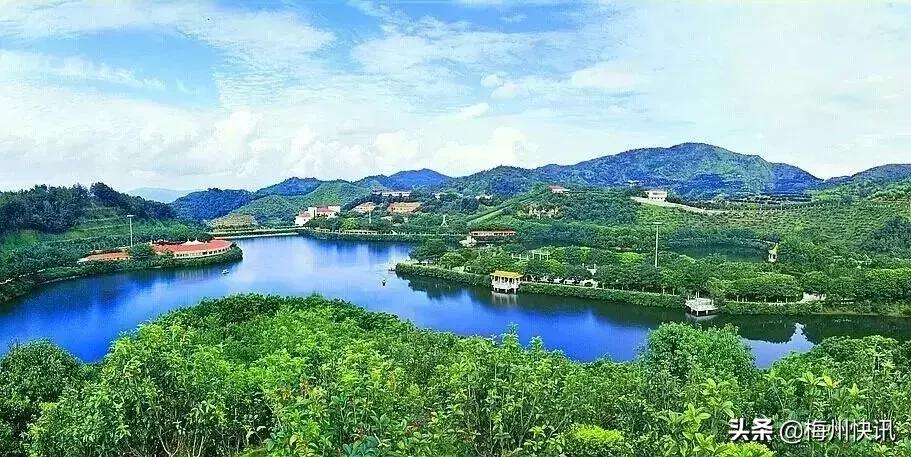 对不起，我要回梅州了！