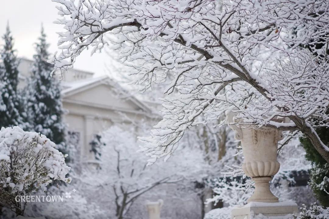 绿城印象南宁市江南区,绿城印象楼中楼