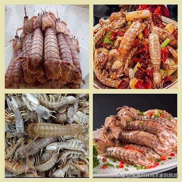 去赶海抓螃蟹海边淋雨捡贝壳,来海边抓螃蟹拾贝壳