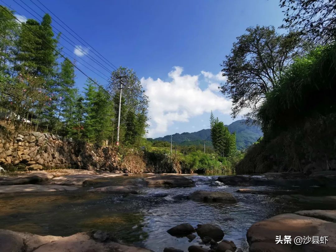 有序推进！沙县虾关心的32项为民办实事项目有了新进展