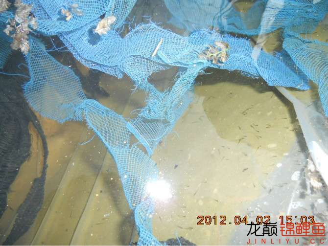 开渔场赚钱吗,开渔场需要多少资金