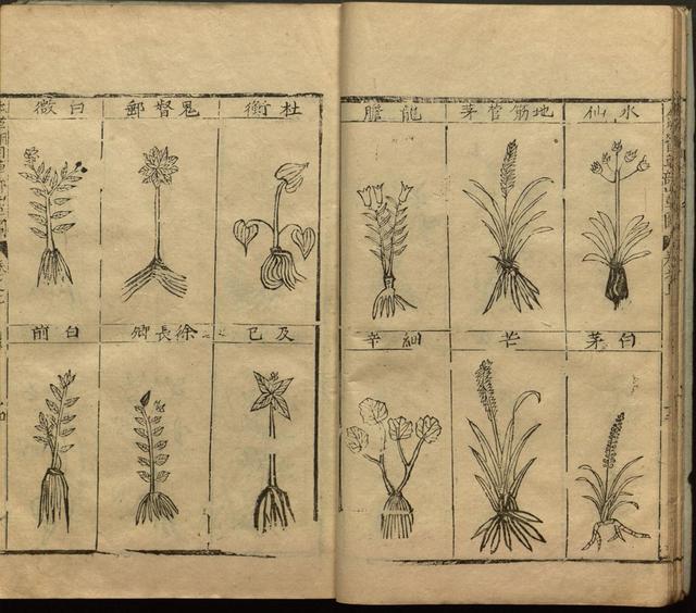 李时珍与本草纲目ppt课件,神农本草经正版李时珍书籍