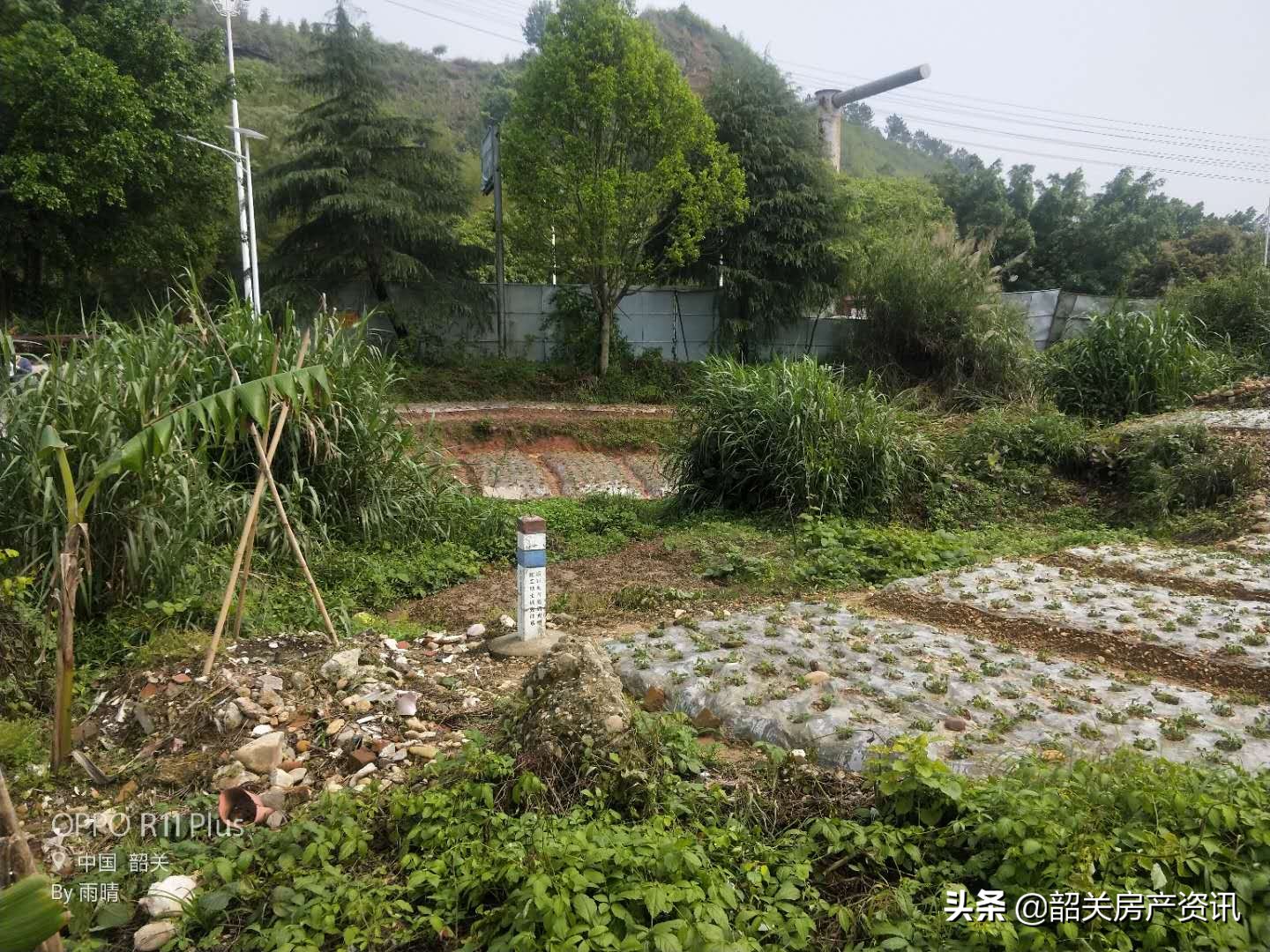 始兴墨江,墨江国有土地出让公告