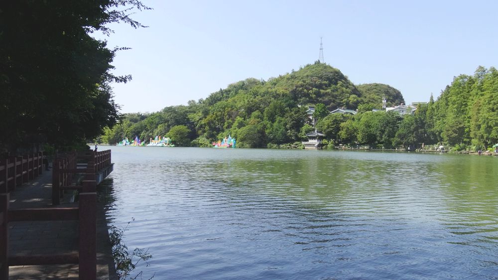 闹中取静旅游的地方,闹中取静的去处