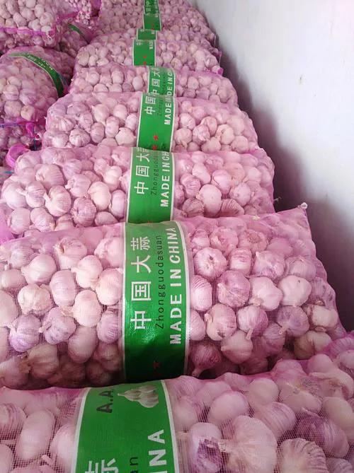 焦裕禄的6个子女:次女被毛主席接见，次子官至正厅，人称小焦书记