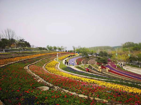 北京各景点今天对外开放的有哪些,北京各景点开放时间表