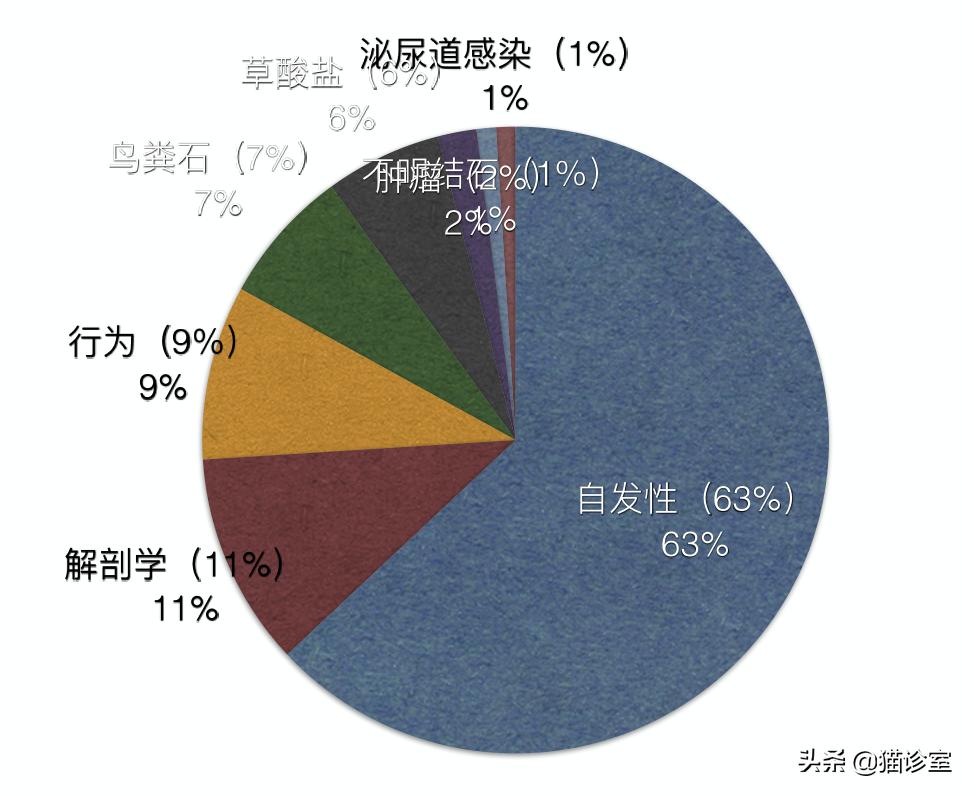 猫膀胱炎吃什么药最见效,猫膀胱炎多喝水能自愈吗
