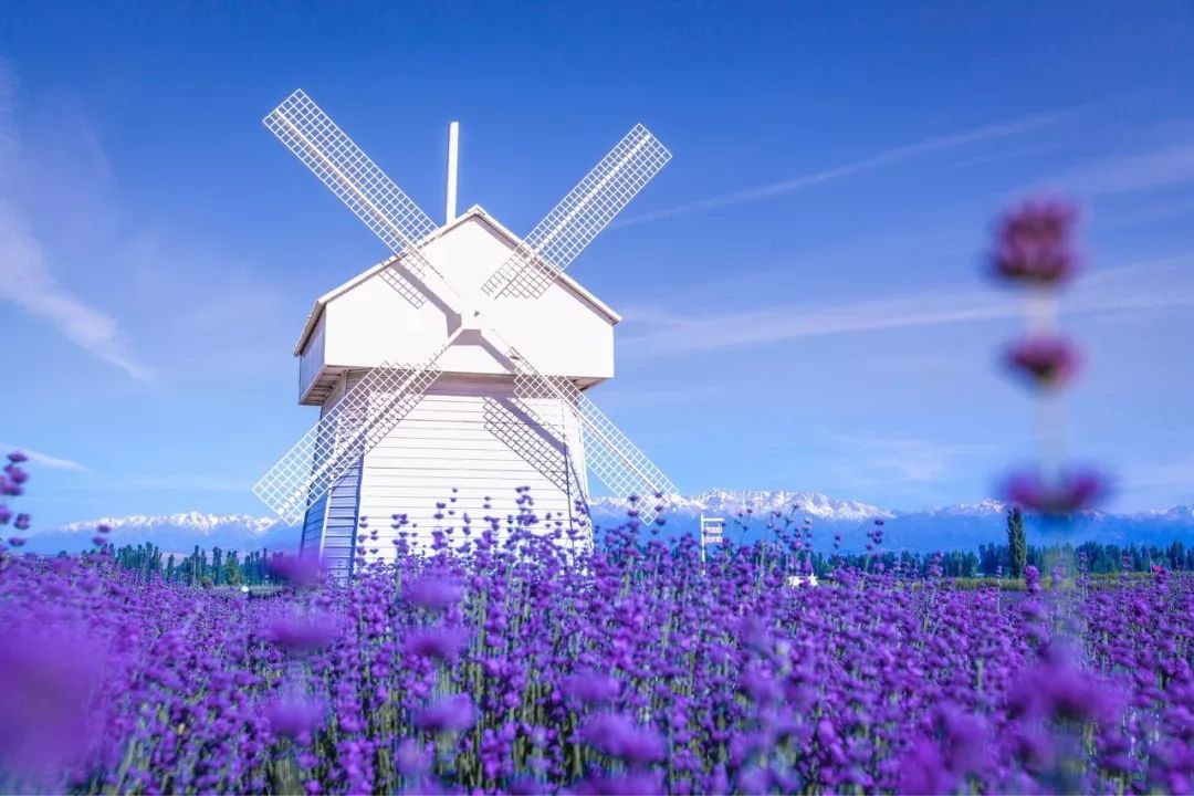 涓嶈兘鍘诲鍦扮殑鐞嗙敱,浜旂浜轰笉鑳藉幓鐤嗗唴鏃呮父