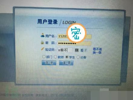网上抢课技巧,大学生抢课一般用什么网址