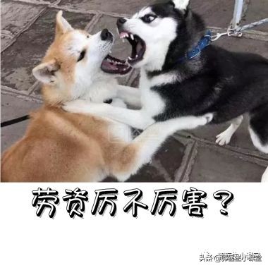 女人手脚冰凉又痛经什么原因,手脚凉痛经怎么调理最快