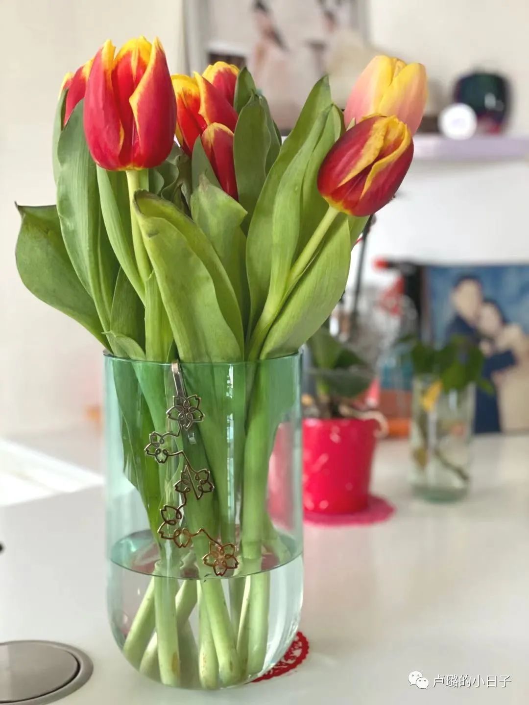 爱马仕最漂亮的花瓶,爱马仕最美花瓶