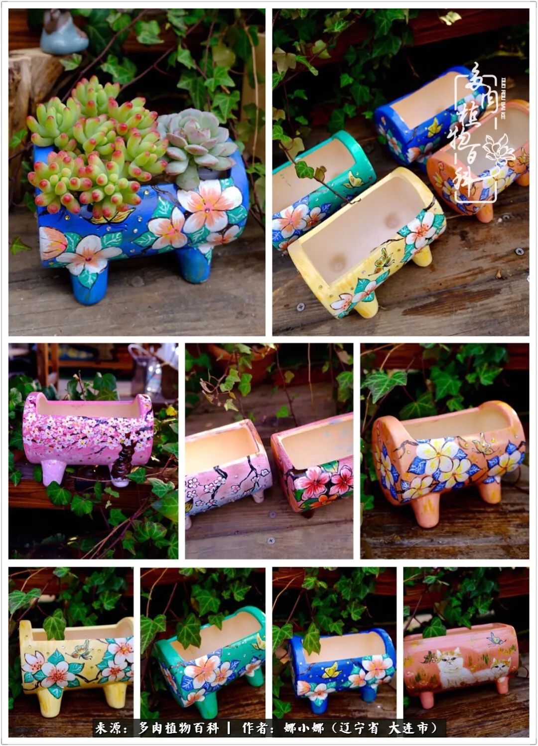 你是盆我是花，你护我周全，我为你绽放