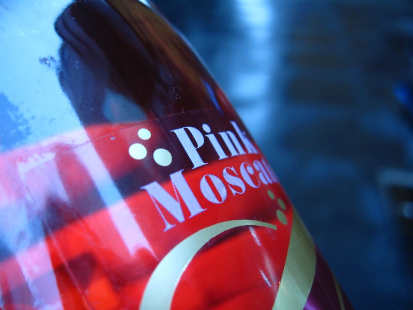 新手入门单反相机推荐10000元左右,摄影小白相机推荐4000价位微单