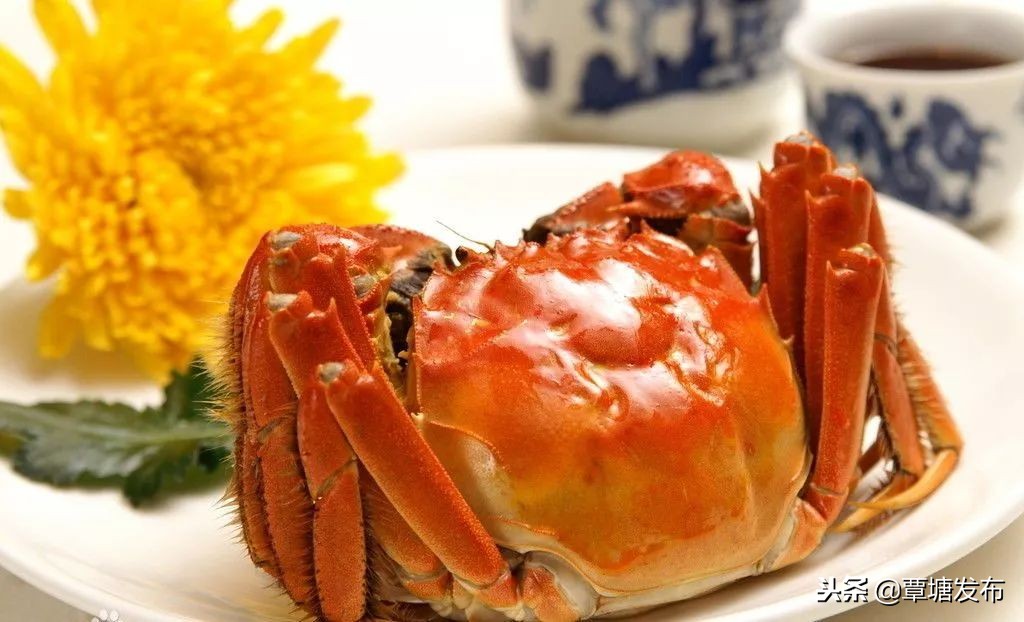 村子里的养殖场,我的家庭养殖场