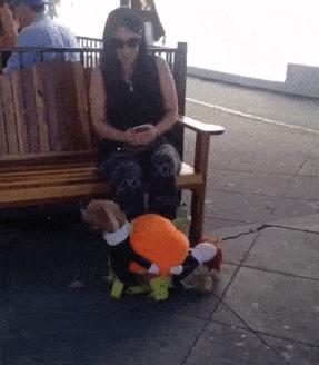 欢天喜地七仙女哪位公主跟金吒了,欢天喜地七仙女三公主近照