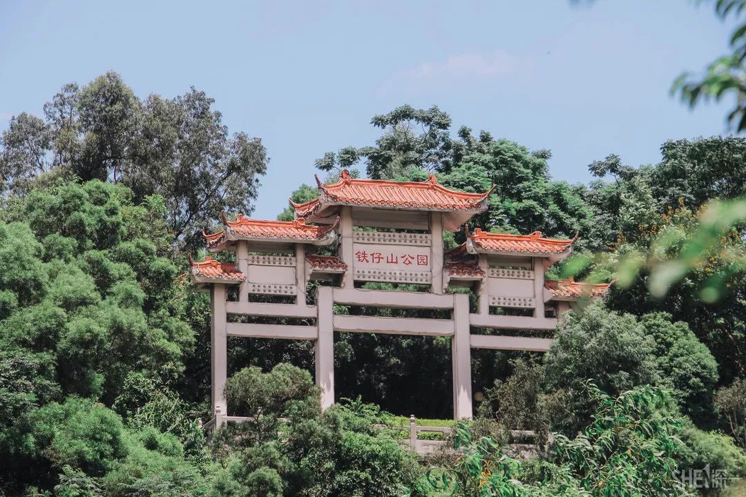 鍘夊浜嗘垜鐨勫ぇ瑗垮畨,鍘夊浜嗘垜鐨勫ぇ鑸熷北