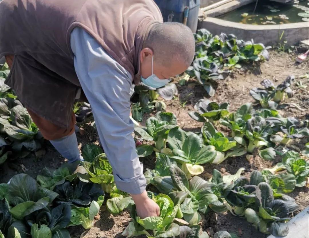 抢抓农时开展农业生产,农民纷纷抢抓春耕生产有利时机