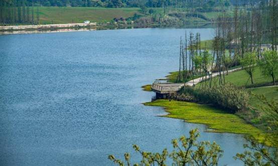 亚洲杯重庆龙兴足球场,重庆亚洲杯球场