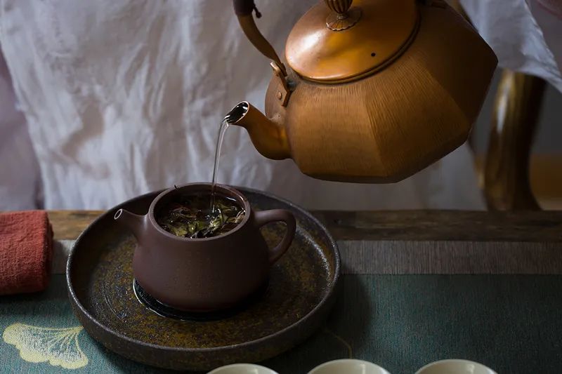 柘荣白茶,柘荣老白茶价格