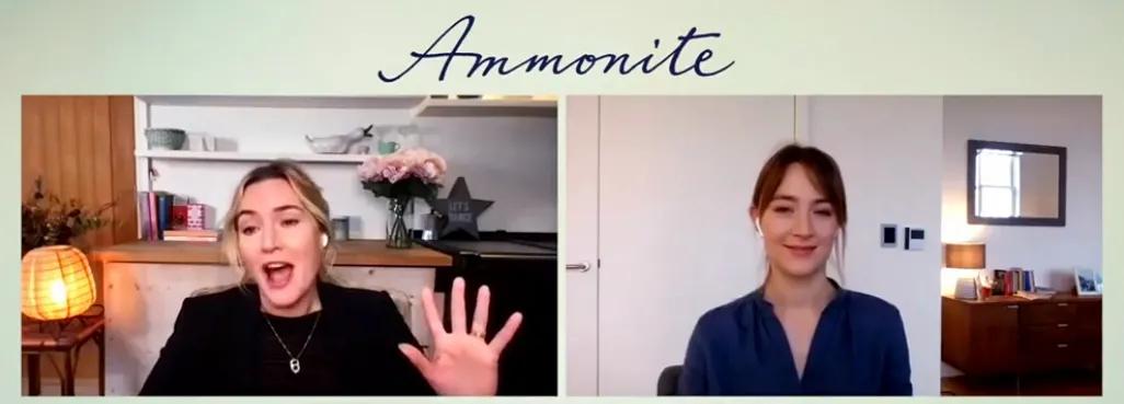 《菊石》的后劲：沉浸体验式的阅片过程，前所未有