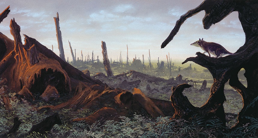 恐龙的100个真相,史前恐龙未解之谜攻略