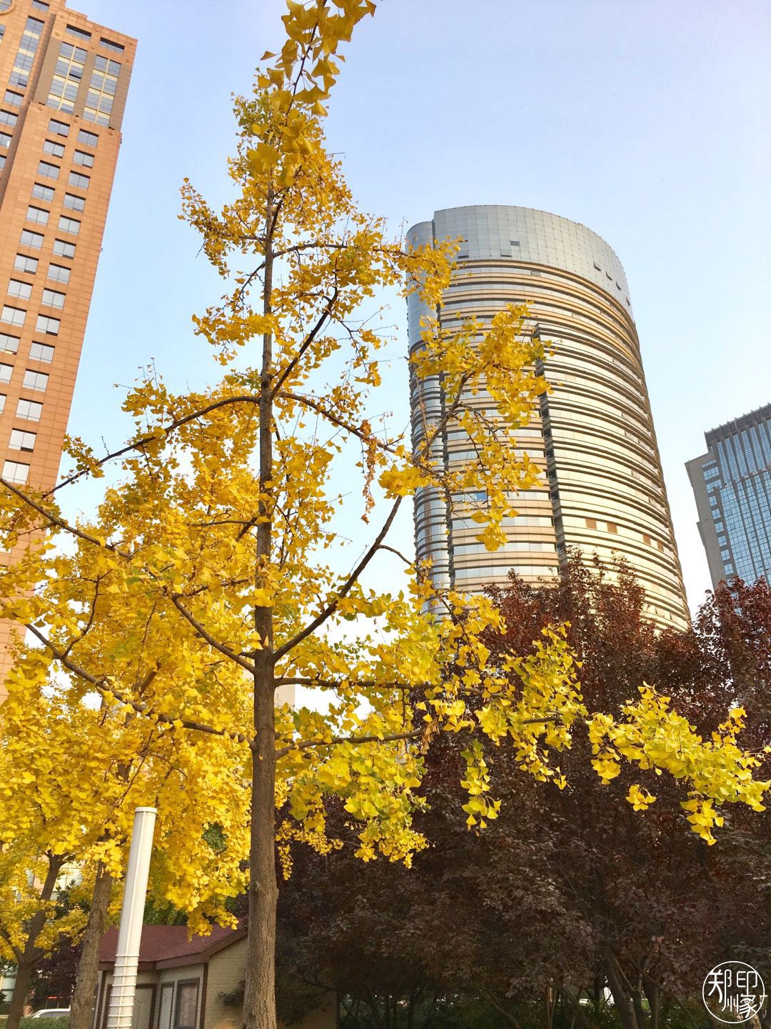 郑州漂亮的秋色风景,郑州的这些湖畔藏着最美的秋色