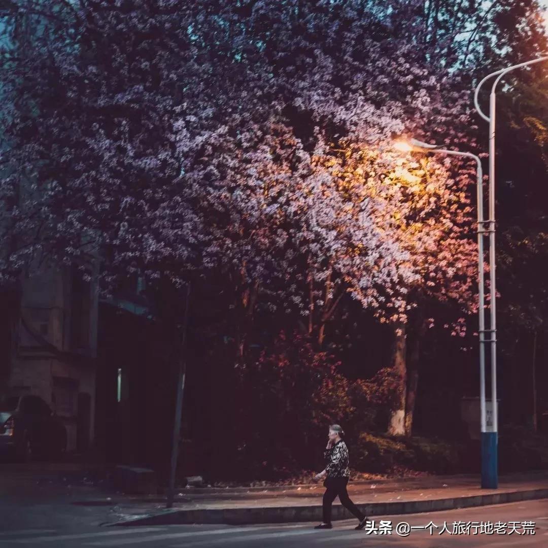 广西哪些城市是靠一碗粉火起来的,凭一碗螺蛳粉征服世界