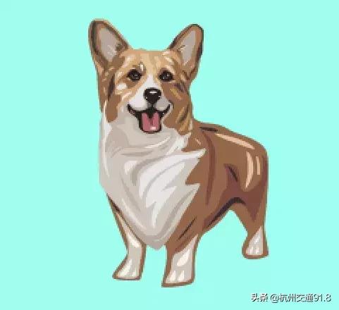 偷一条柯基犬怎么判,柯基犬怎么判刑