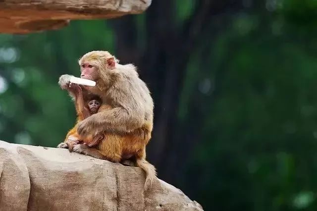 郑州今年还会升温吗,郑州今年会更火吗