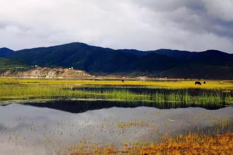 9.9元秒杀高端最美民宿,十一京郊民宿1000元起