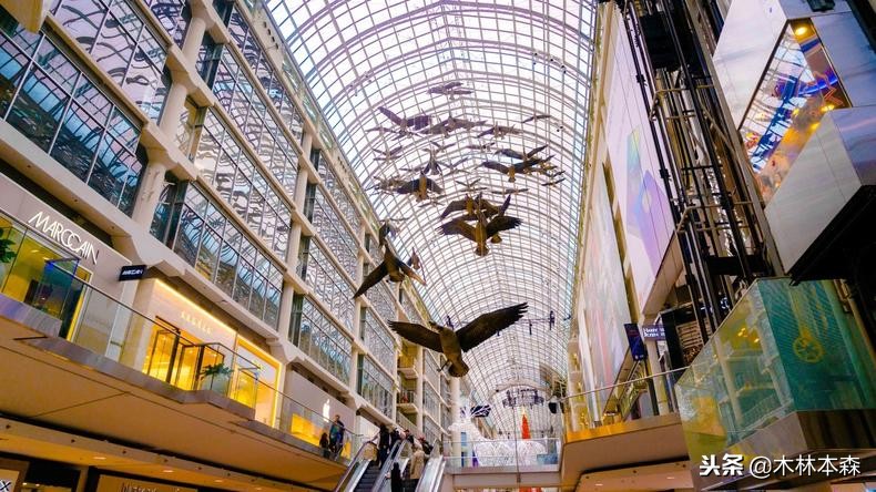 加拿大旅行日记,多伦多最佳生活日记