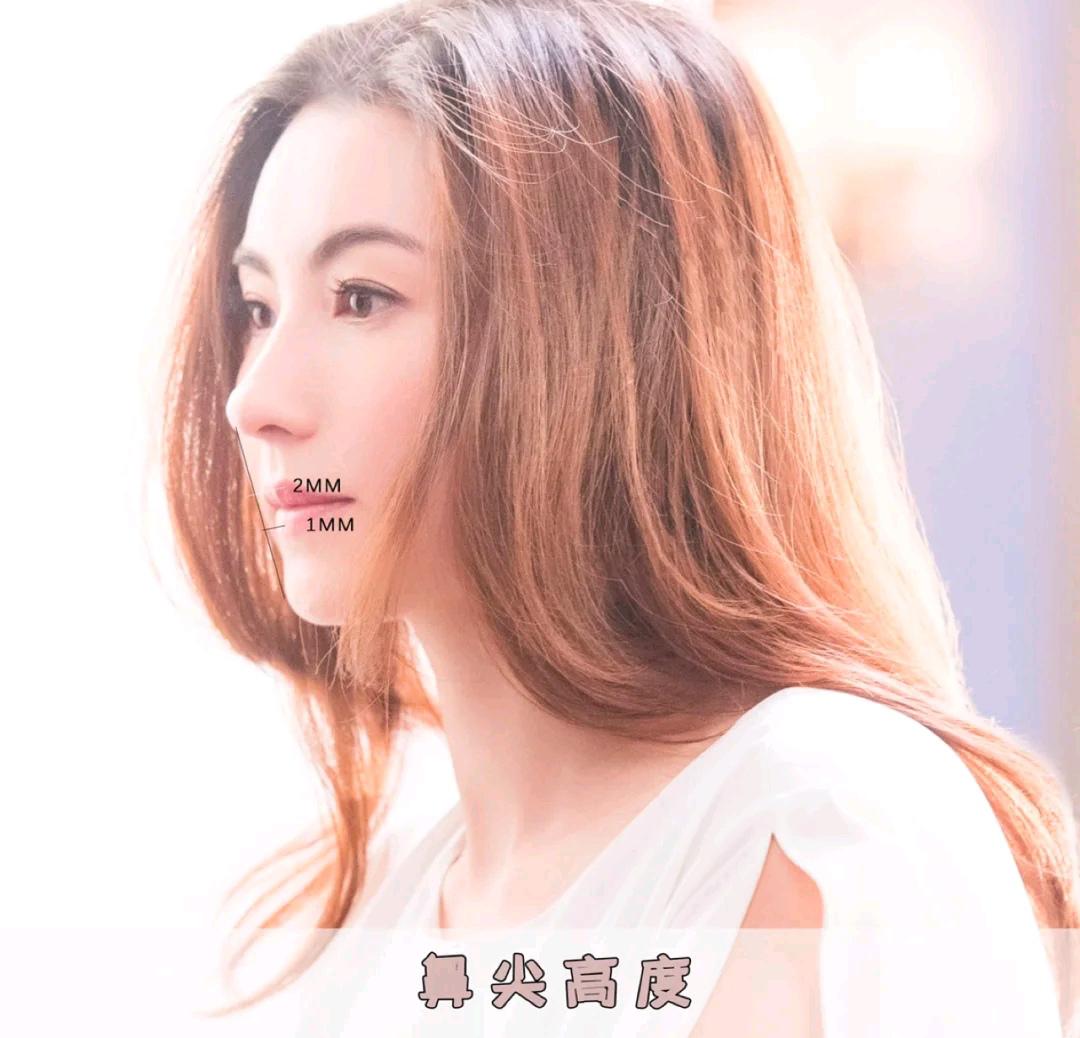 判断最好看的五官,判断鼻子类型