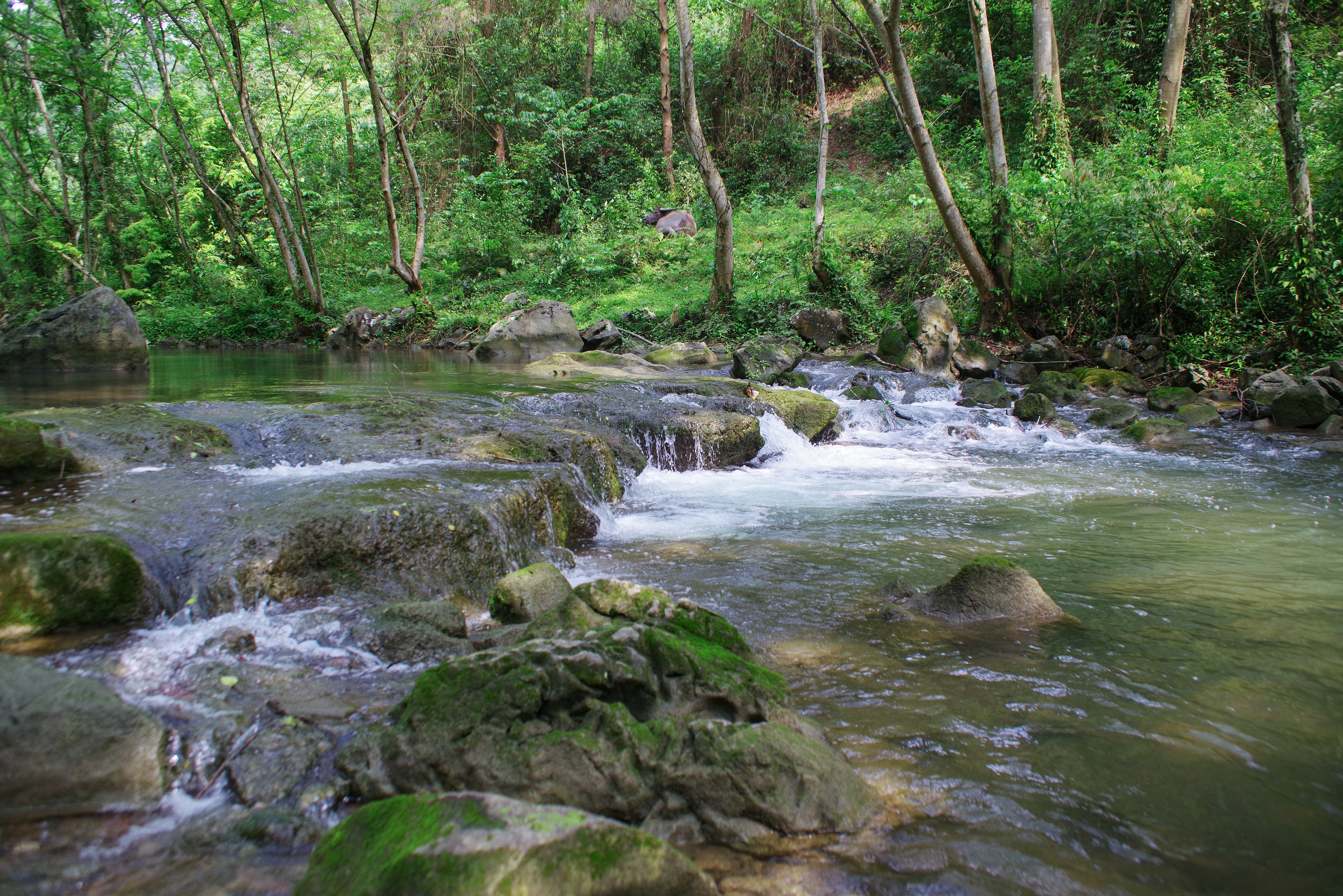 柳州三江小七孔,柳州版小七孔
