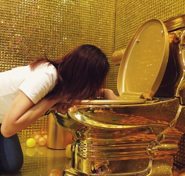 世界最贵的十大马桶,世界上最大的黄金马桶