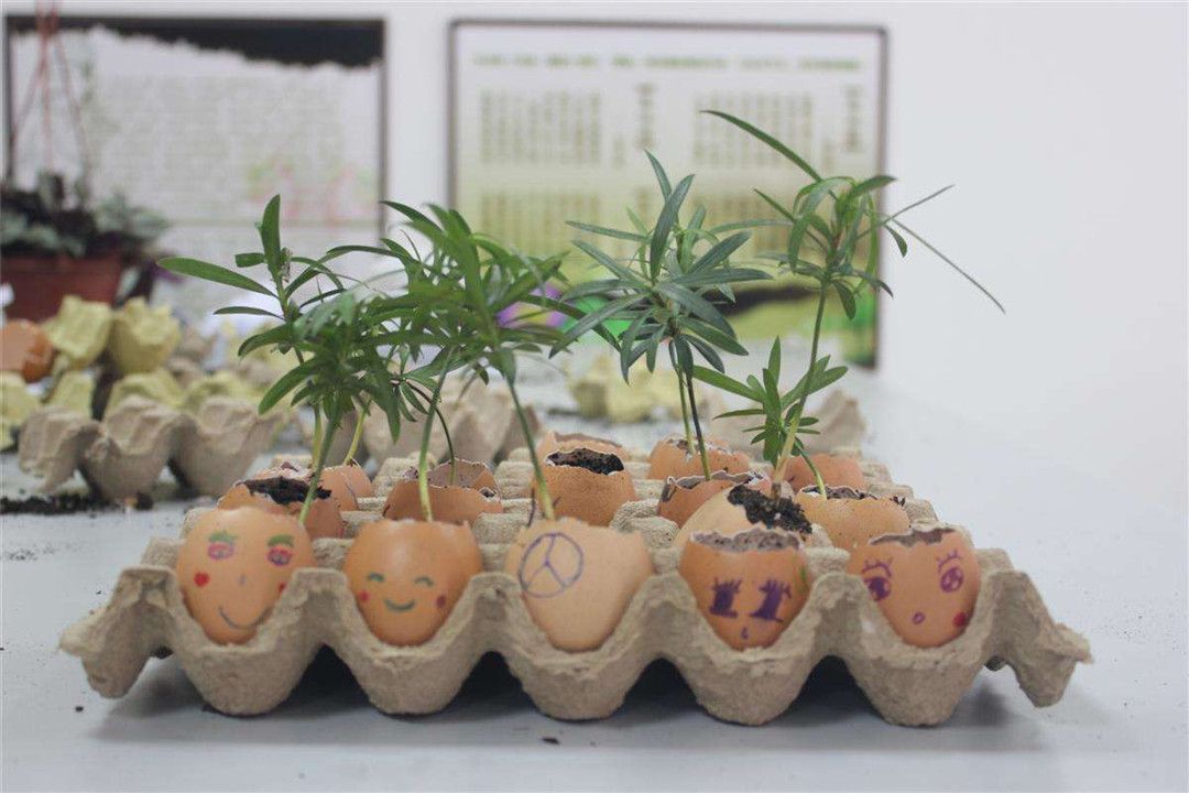 创意手工亲子游戏制作教程,日常用品手工制作亲子游戏