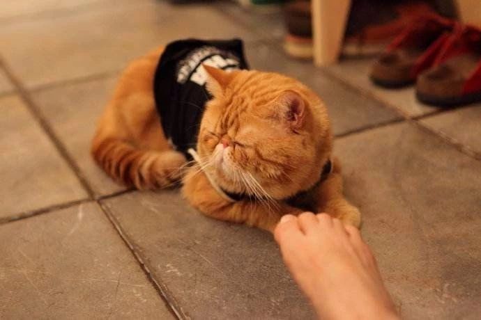 脚臭一定有狐臭么,脚臭能臭到什么程度