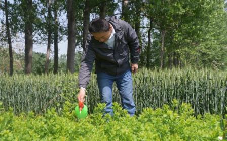 农村人开店出售除草剂，似乎非常有利可图，而且风险也很大。