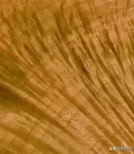金丝楠木鉴别技巧详解,金丝楠木鉴别方法有哪些