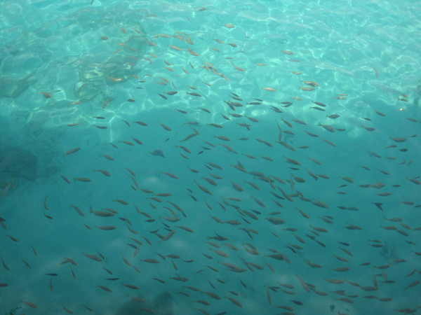 西安到三亚旅游攻略自由行费用,海南旅游攻略自由行三亚最佳路线